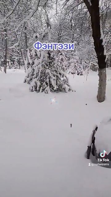 Зима