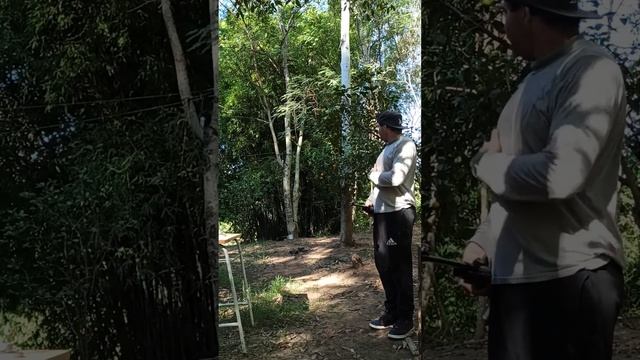 Gamo G-Magnum 1250 5.5 vs panela de pressão