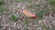 ГСВГ. От КПП2 в/ч 47280 к парку боевой техники и к др. территориям 20.04.2022