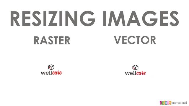 Difference Between Raster and Vector Images