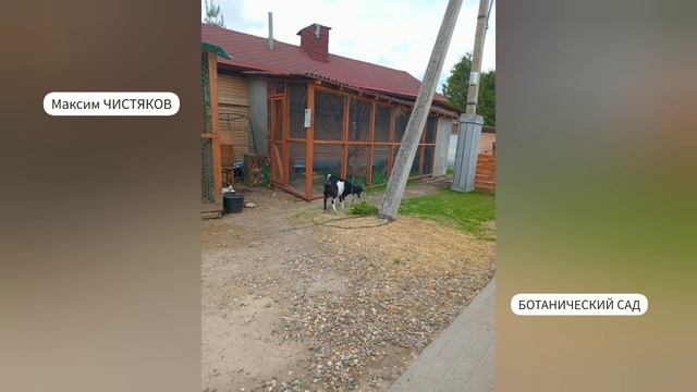 Самое ЭКЗОТИЧЕСКОЕ место Вологды? Ботанический Сад - Вологда, 10 июня 2024 год.
