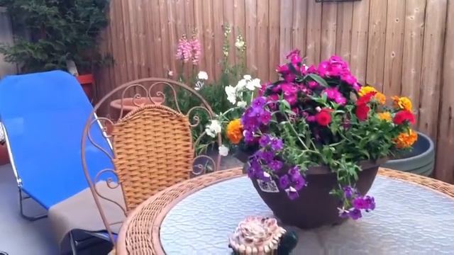 Smart Phone Video Compared To Pentax K-30