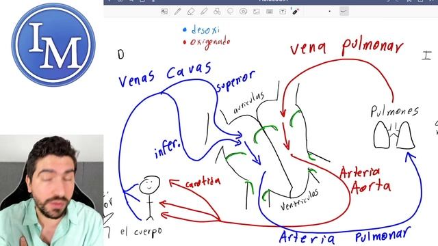 Fisiología Cardiovascular | Circulación, Válvulas y Valvulopatías | Congreso BUAP Semana del Corazó