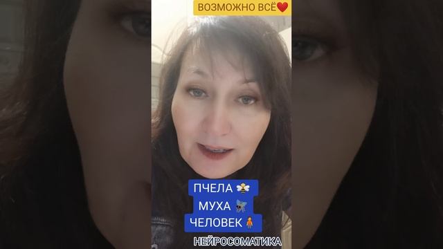 ПЧЕЛА 🐝 ИЛИ МУХА 🪰