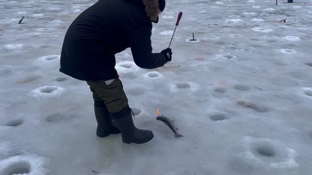 Поимки с водоема