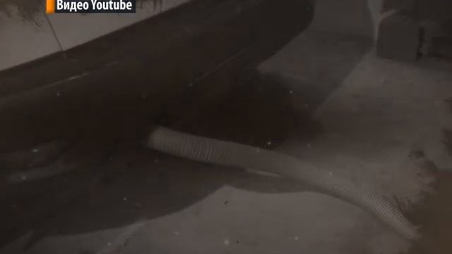 Выпуск новостей 29.11.2022 г.