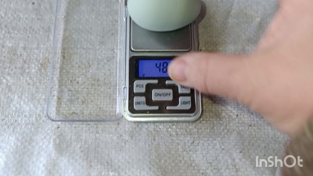 26-01-2025 Вот вам и СЕНСАЦИЯ!