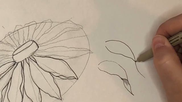 Step-By-Step Watercolor Tutorial Day 2: Black Eyed Susan