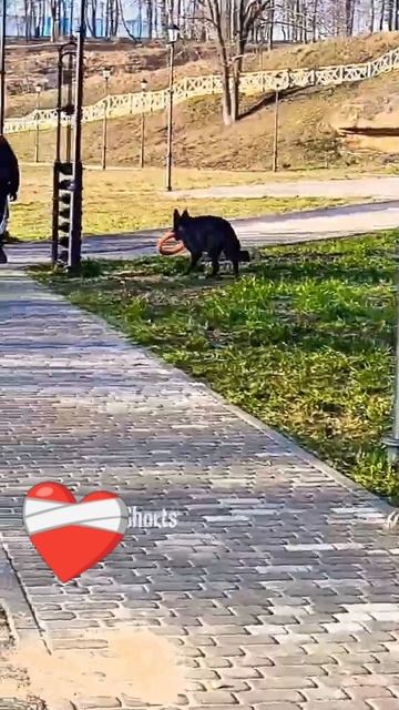 сама справишься ❤️🩹