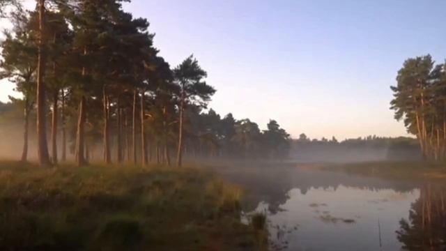 Быть Разумным. Совокупление и микширование ума и мудрости.