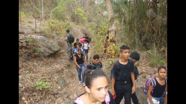 AIBEC SELVA BRASIL