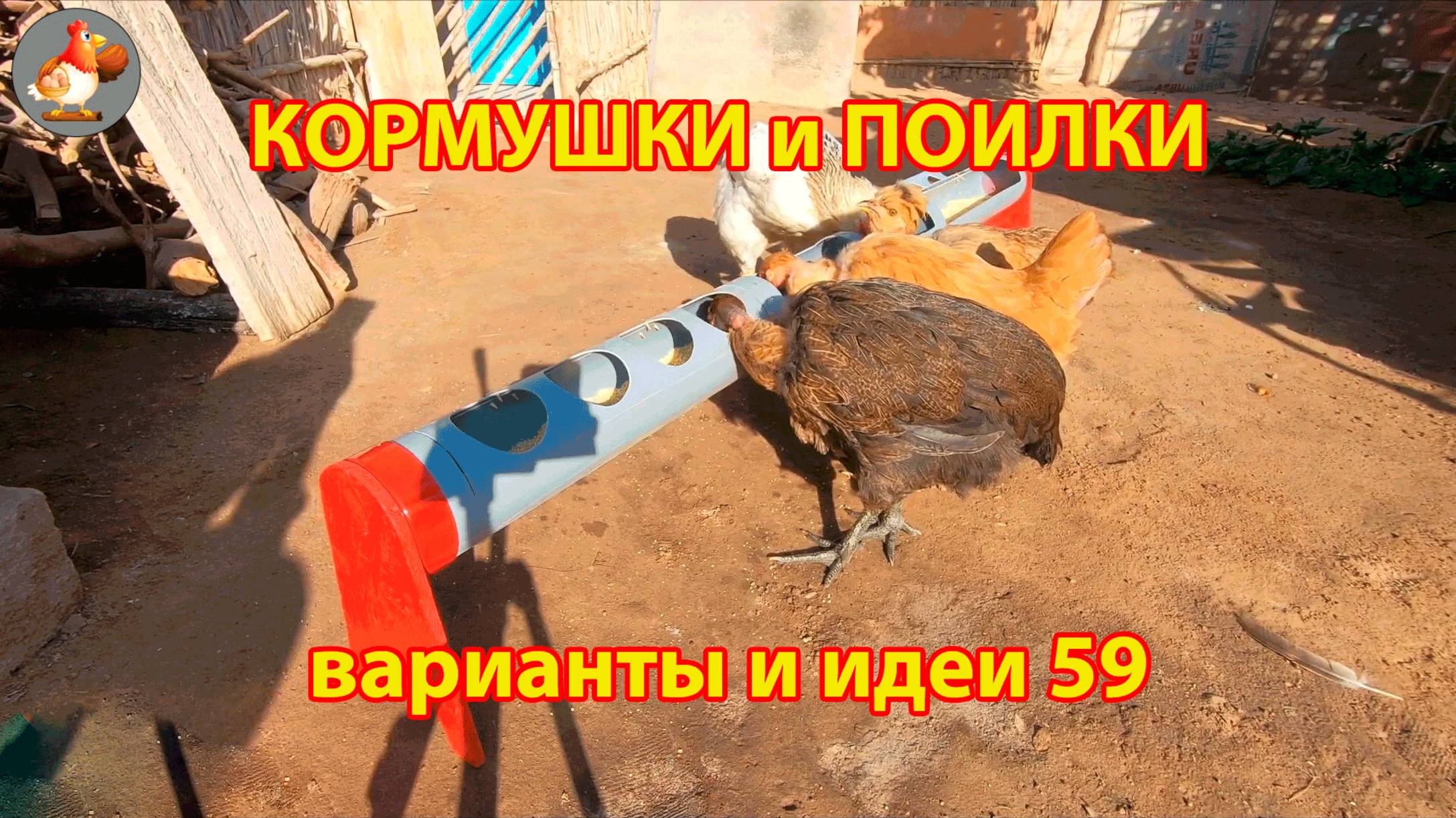 Кормушки и поилки для кур своими руками (59) 🪚✂️ Пошаговая инструкция как сделать 🐔 🐓❣️