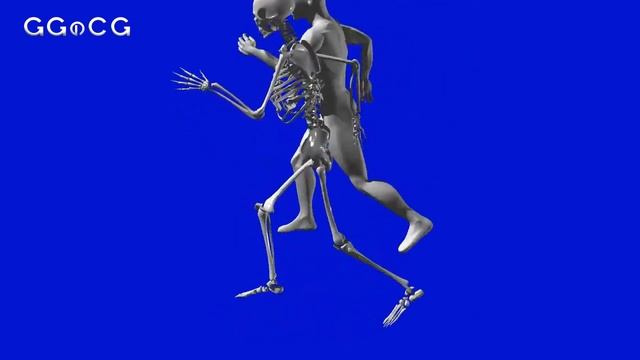 【CG動画・生物編】肉体と骨の競争　Body and bone competition