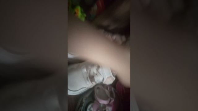 VID_20250126_144959.mp4