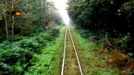 Антоновка - Заречное! 106 км. по узкоколейке! Narrow-gauge railway