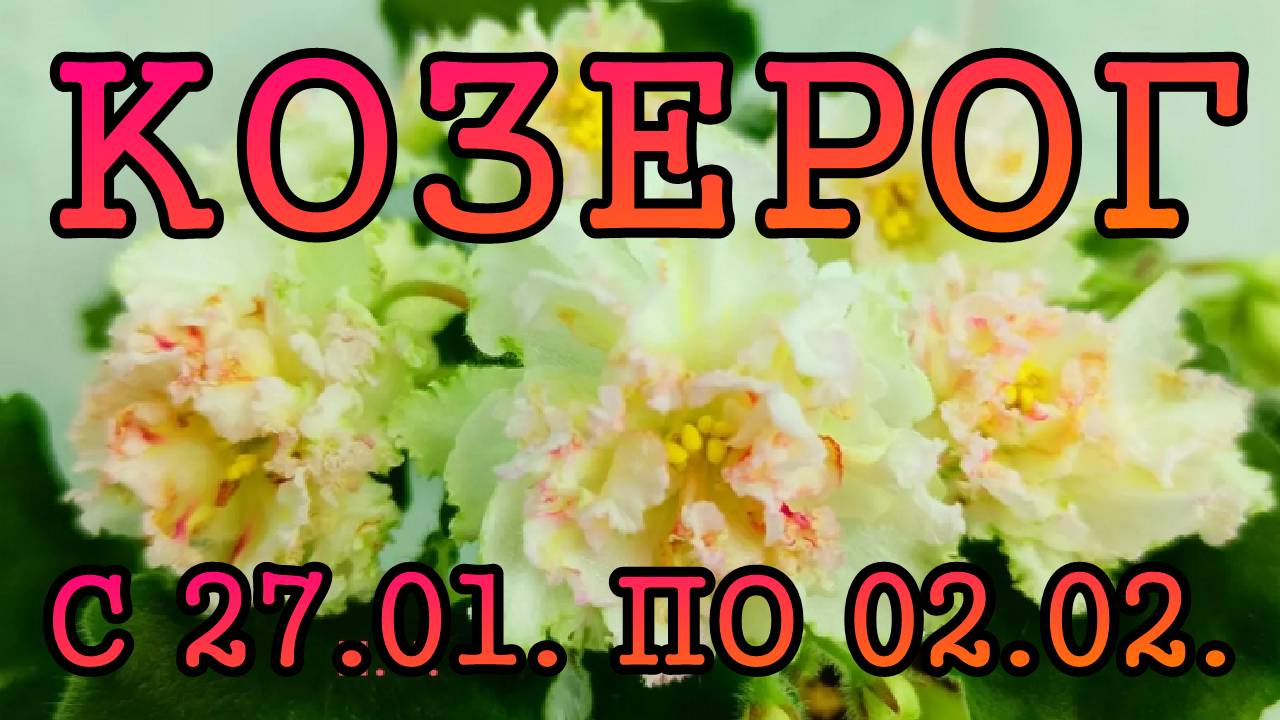 КОЗЕРОГ таро прогноз на неделю с 27 ЯНВАРЯ по 2 ФЕВРАЛЯ 2025 года.