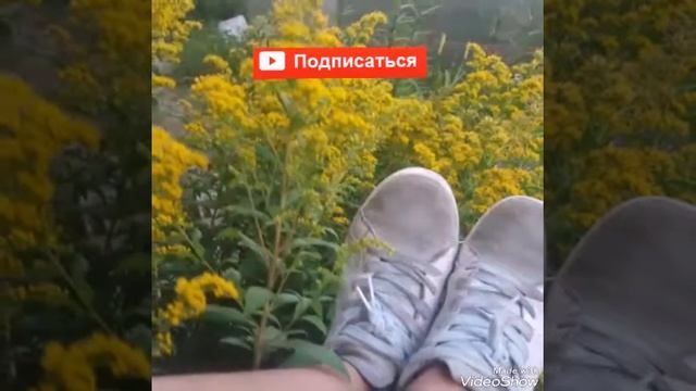Фотографии за 2018 год