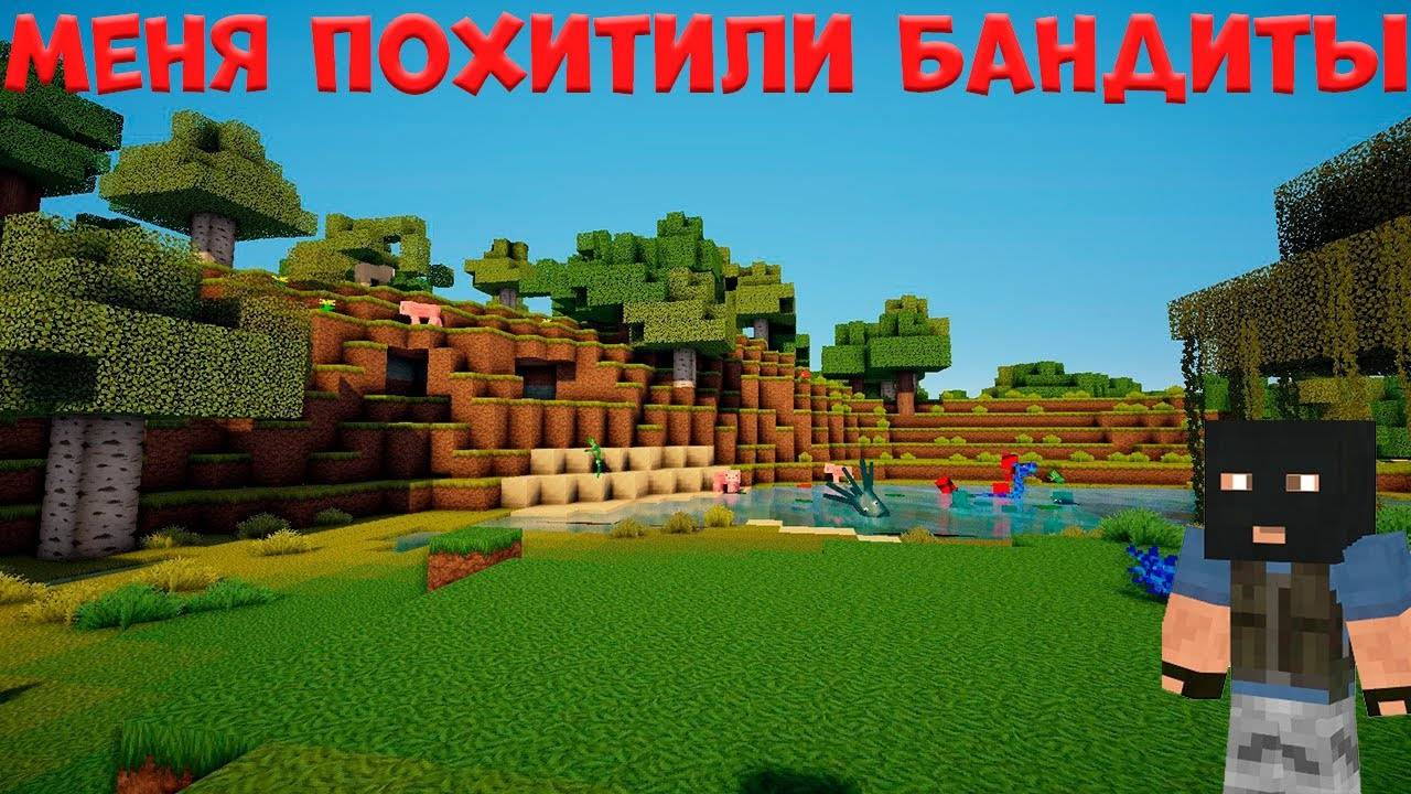 Меня похитили Бандиты