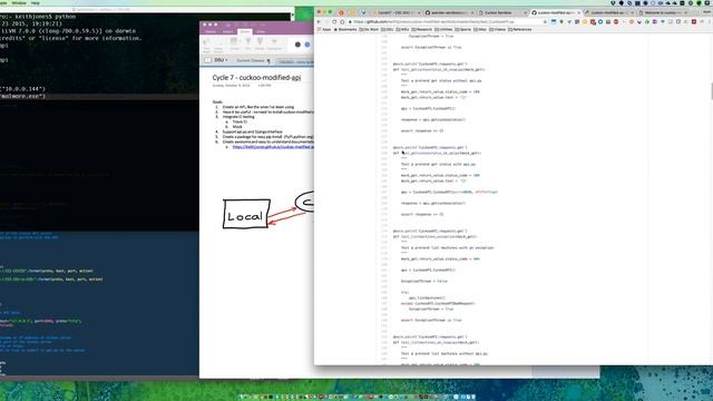 cuckoo-modified api for Python Introduction Video
