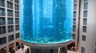 Aqua Dom, the really big aquarium with a lift inside! in the middle of hotel, Berlin, Germany