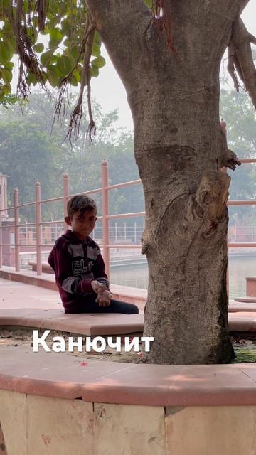 Money money… мантра такая. Дай. Дай. Дай. Противно? Мне - да.