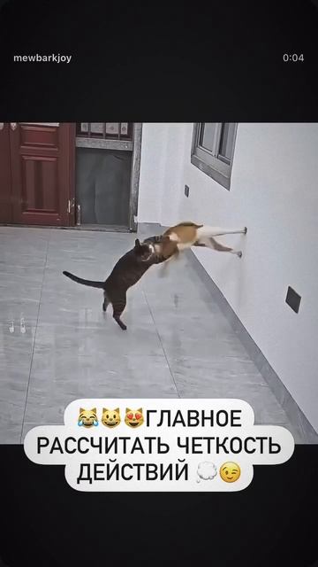 Обезвредил😂