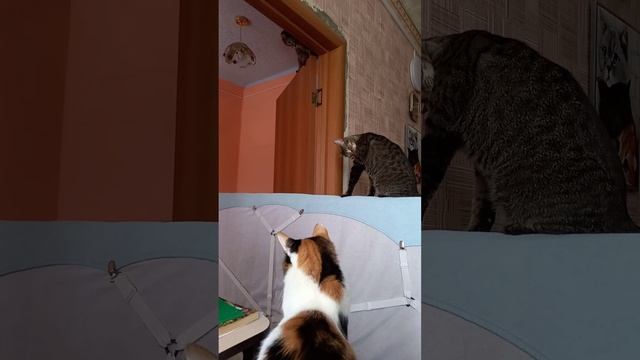 1000047761.mp4
