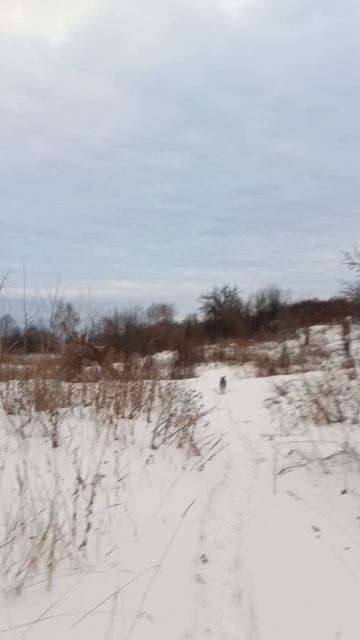 домой