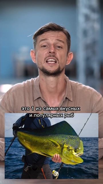 Махи-Махи #бали