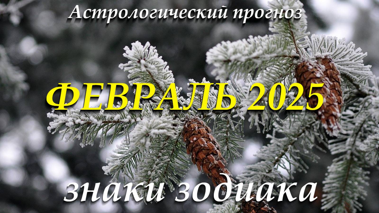 Февраль 2025. Астрологический прогноз. Знаки зодиака