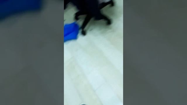 Красивые,не дорогие и красивые монеты часть1