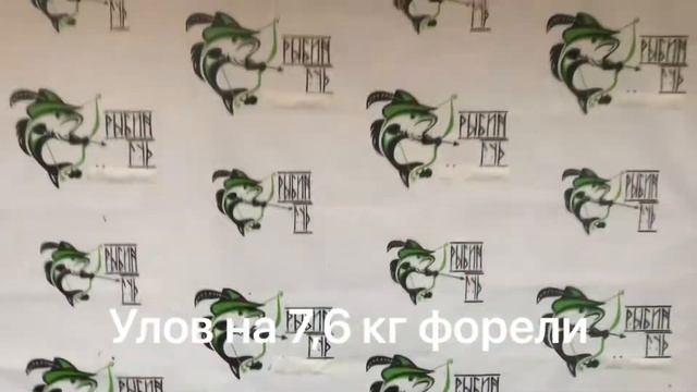 Улов на 7,6 кг форели