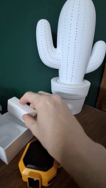 1000019029.mp4
