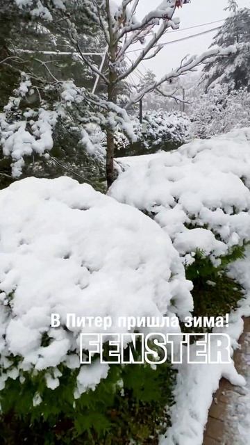 В Питер пришла зима #shorts