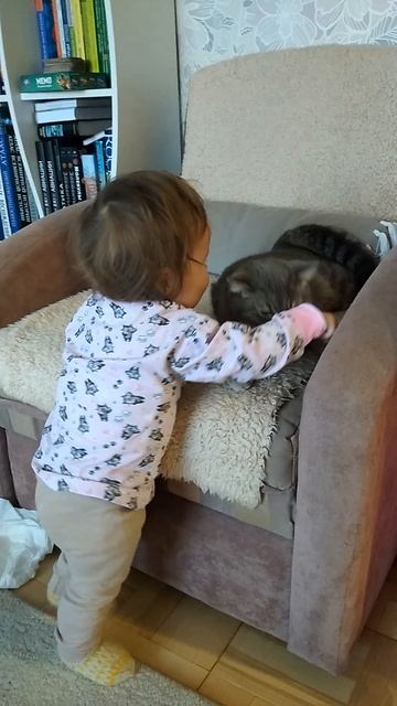 VID_20240927_080907.mp4