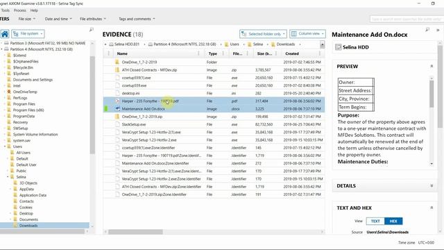 Magnet AXIOM 3.9 - Tag Syncing View