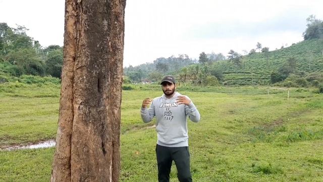 MAKE A TREE YOUR TRAINING PARTNER..(Iron Hand)