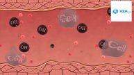 Hydrogen Water Benefits to our Body H2 Aqua