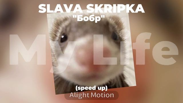 SLAVA SKRIPKA - Бобр (speed up) #rutube #youtube