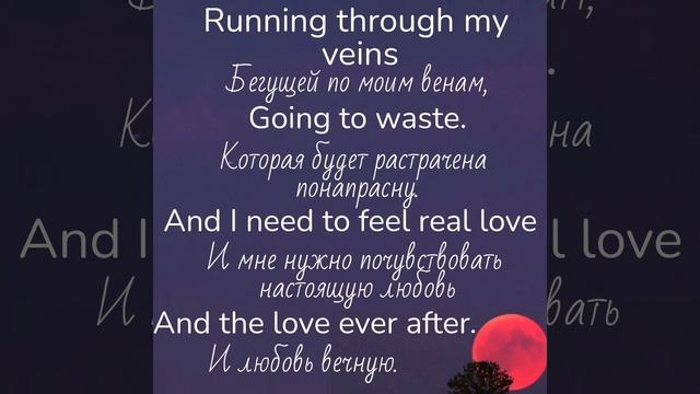 Robbie Williams/Feel😇