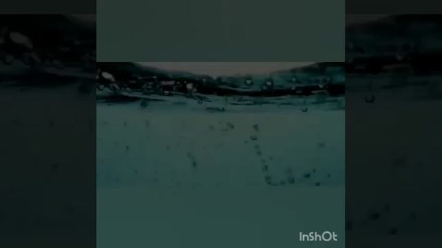 7 декабря 2020 г.