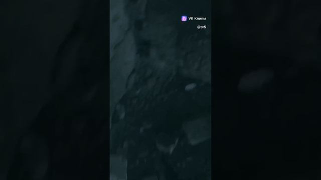 1000008426.mp4