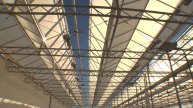 Growing Greener Pot in Greenhouses