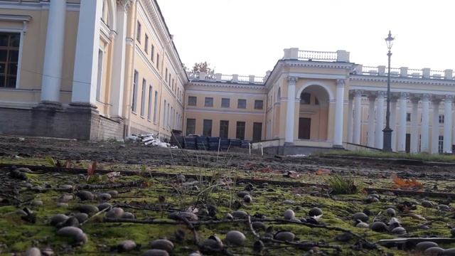 Прогулка по Питеру 2019