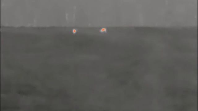 11 Elk on the Pulsar Axion XM30S Thermal Monocular