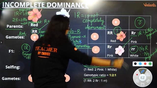 Principles of Inheritance and Variation | Class 12 | NEET Biology Lectures | Vedantu
