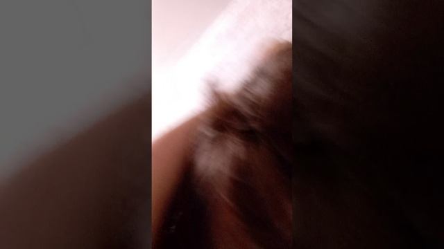 VID_20250126_174243