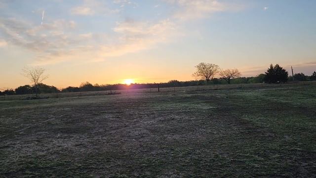 3.27.2024- 36 Degrees GOOD MORNING EVERYONE!!  Barn Build Today!!