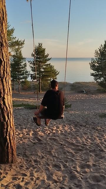 VID_20240803_202905