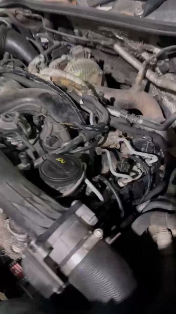 VID-20250122-WA0003